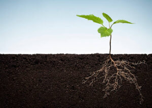 http://www.thomas vogel.de/istock/is planetearth.jpg